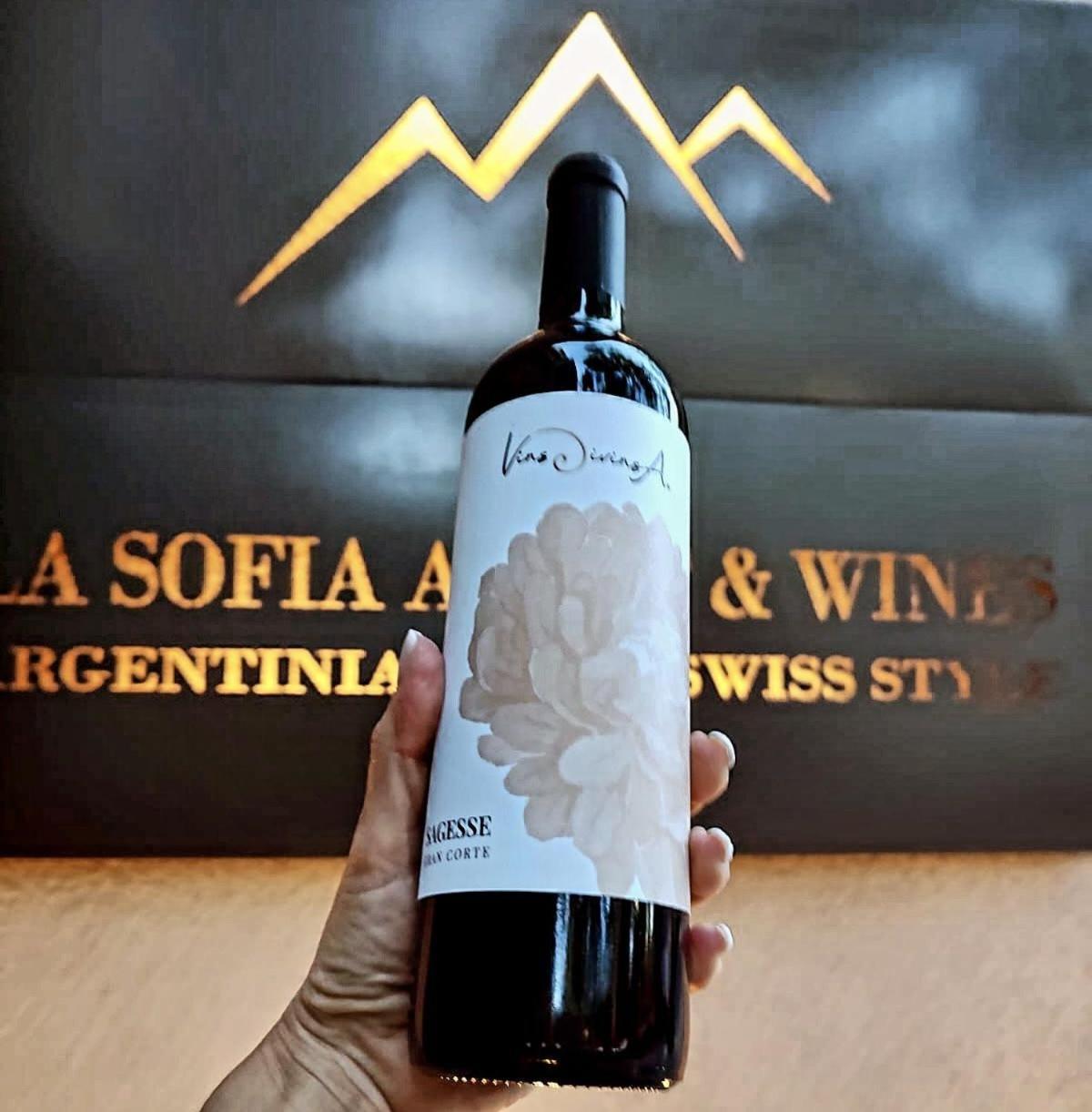 La Sofia Apart & Wines Mendoza Buitenkant foto